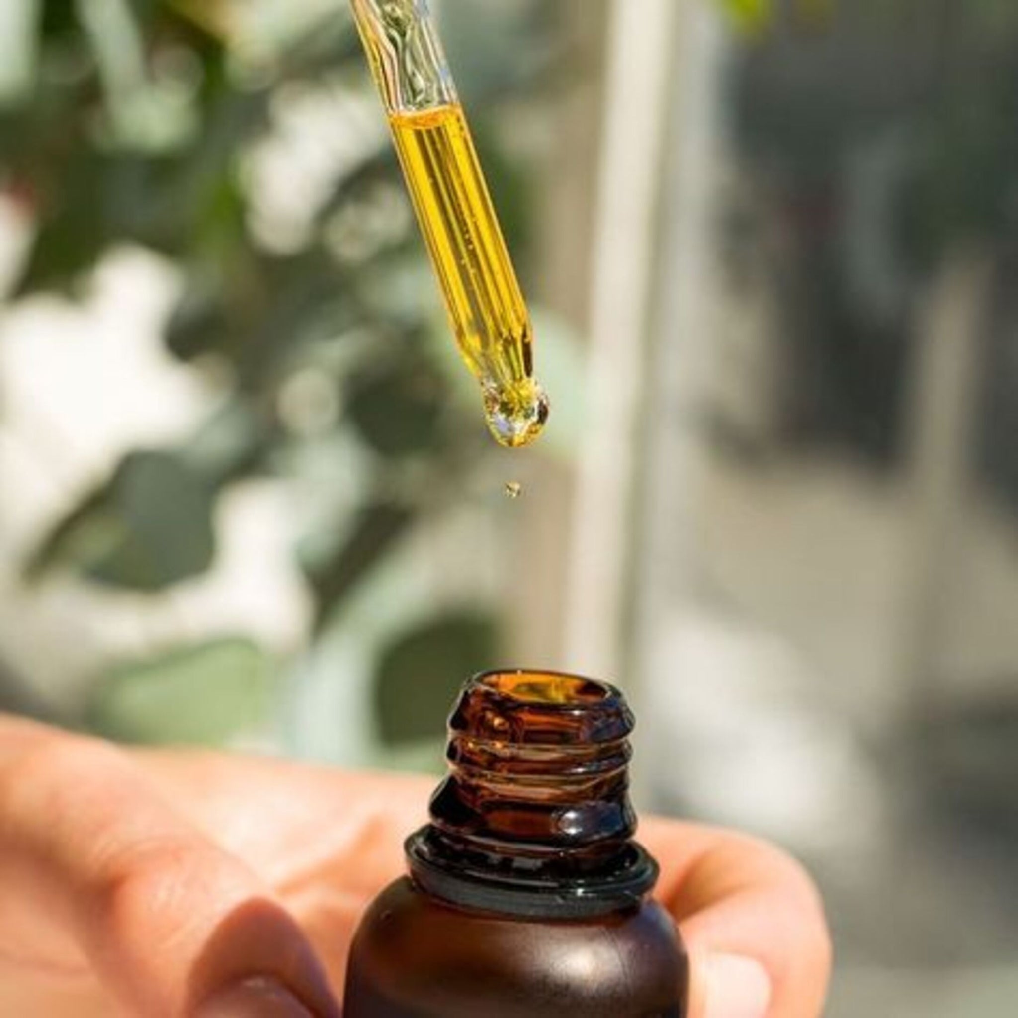 Top 5 Essential Oils for Aromatherapy in the UAE